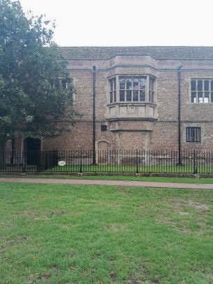 Ely canon